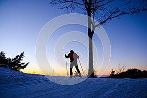 Nordic ski skier on the snow track in beautiful nature - sport active photo with space for your montage