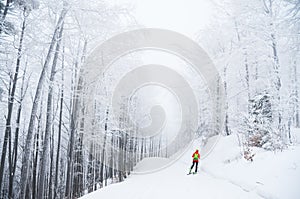 Nordic ski skier on the track in winter - sport active photo with space for your montage - Illustration picture for winter game