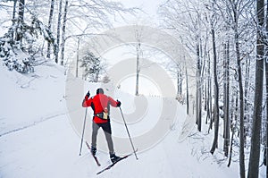 Nordic ski skier on the track in winter - sport active photo with space for your montage - Illustration picture for winter game