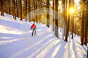 Nordic ski skier on the track in winter - sport active photo with space for your montage - Illustration picture for winter game