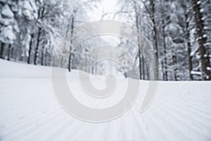 Nordic ski track in forest, sport photo, edit space