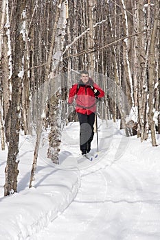 Nordic Skier