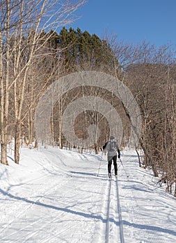 Nordic skier on the Arrowhead Park trail