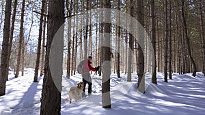 Nordic skier in the forest with his dog