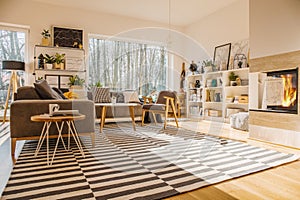 Nordic style living room interior with striped carpet, corner co