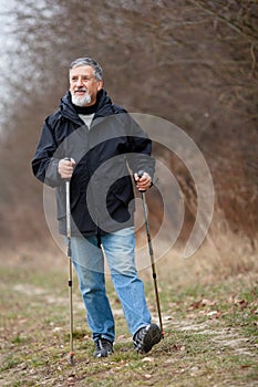 Nordic walking