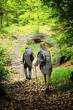 Nordic Walking