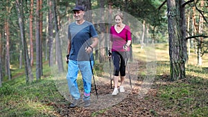 Nordic walking - active senior couple on the forest trail