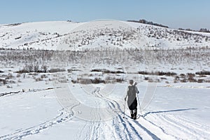 Nordic Walking - adult man hiking on snow in winter