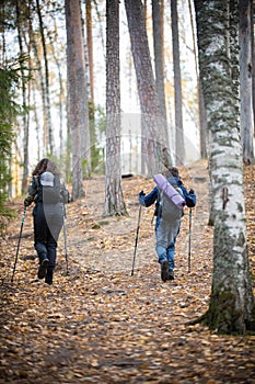 Nordic walking. Child boy and young woman in the forest. Back view. Autumn