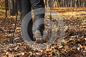 Nordic walking in fall