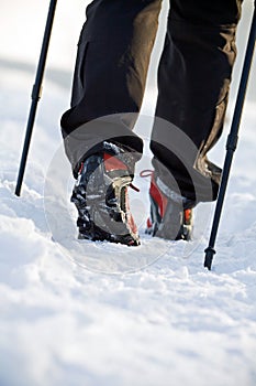 Nordic walking legs in winter