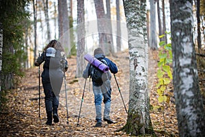 Nordic walking. Little boy and young woman. Back view. Birch forest