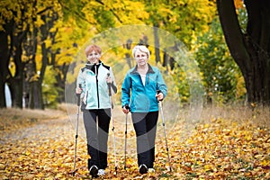 Nordic walking photo