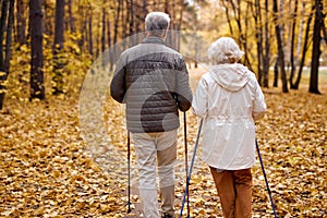 Nordic walking, rear view on elderly couple walk with canes in autumn park. Sports exercises
