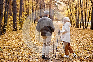 Nordic walking, rear view on retired couple walk with canes in autumn park. Sport