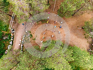 Nordic walking, senior active elderly people involved in sports go outdoor park. Aerial top view