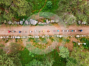 Nordic walking, senior active elderly people involved in sports go outdoor park. Aerial top view