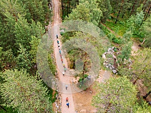 Nordic walking, senior active elderly people involved in sports go outdoor park. Aerial top view