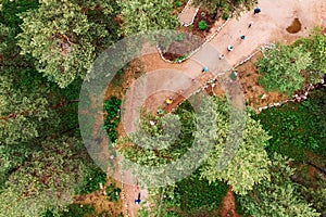 Nordic walking, senior active elderly people involved in sports go outdoor park. Aerial top view