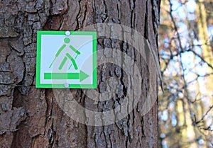 Nordic walking sign on a tree