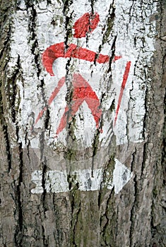 Nordic walking signature on the tree