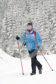 Nordic walking in snow