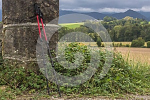 Nordic walking sticks for tourists