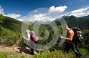 Nordic Walking in Tatra Mountains photo