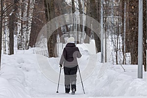 Nordic walking in the winter park