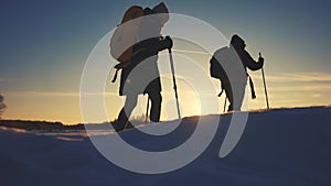 nordic walking in winter. winter hike group of tourists silhouette. teamwork travel. two hikers with sticks sunset walk