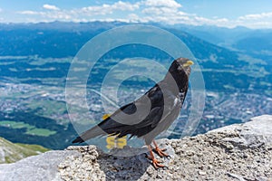 Nordkette mountain in Tyrol, Innsbruck, Austria