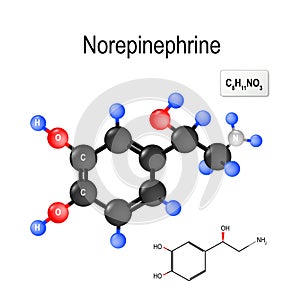 Norepinephrine. Structural chemical formula and model of molecule of noradrenalin.