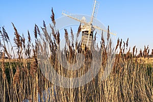 Norfolk Broads windmill viewed through bull rushes in cloudless skies in summer