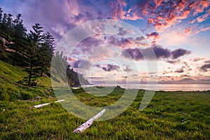 Norfolk Island