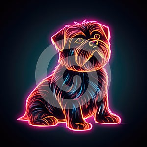 Norfolk terrier. Neon outline icon with a light effect