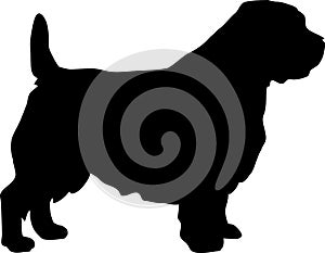 Norfolk Terrier silhouette black
