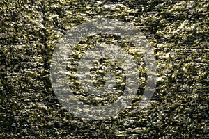 Nori algae in the form of sheets.Nori seaweed sheets for sushi