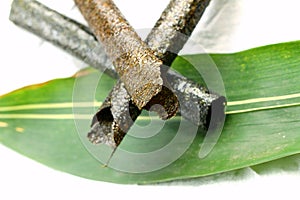 Nori sheets and roll.