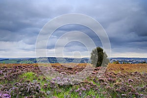 Norland, Halifax, West Yorkshire, UK. photo