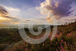 Norland moor sunset photo