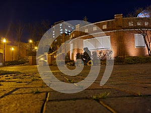 Norm the Niner statue at UNC Charlotte at night photo