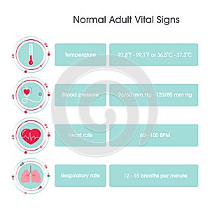 Normal Adult Vital Signs vector illustration infographic