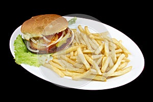 Normal burguer with french fries photo