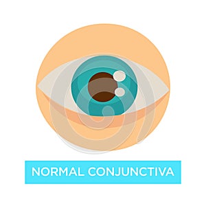 Normal conjunctiva healthy eye pupil and iris ophthalmology photo