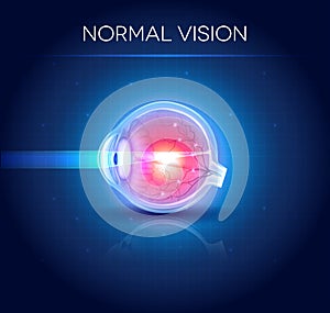 Normal eye vision blue background