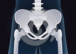 Normal shape of human Pelvic bone in X-ray concept.