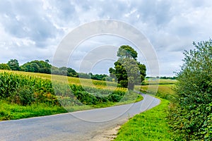 Normandy Country Lane