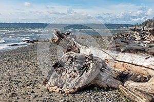 Normandy Park Shoreline 2