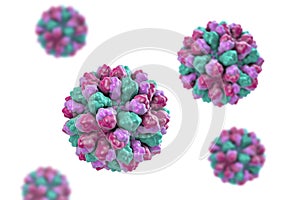Norovirus, Norwalk, also known as winter vomiting bug, causative agent of gastroenteritis photo